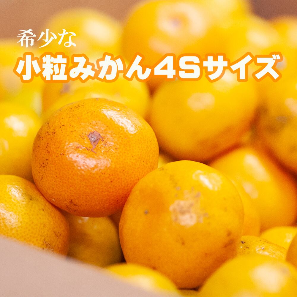 蔵出しみかん通販｜昔ながらのみかん 鈴木農園