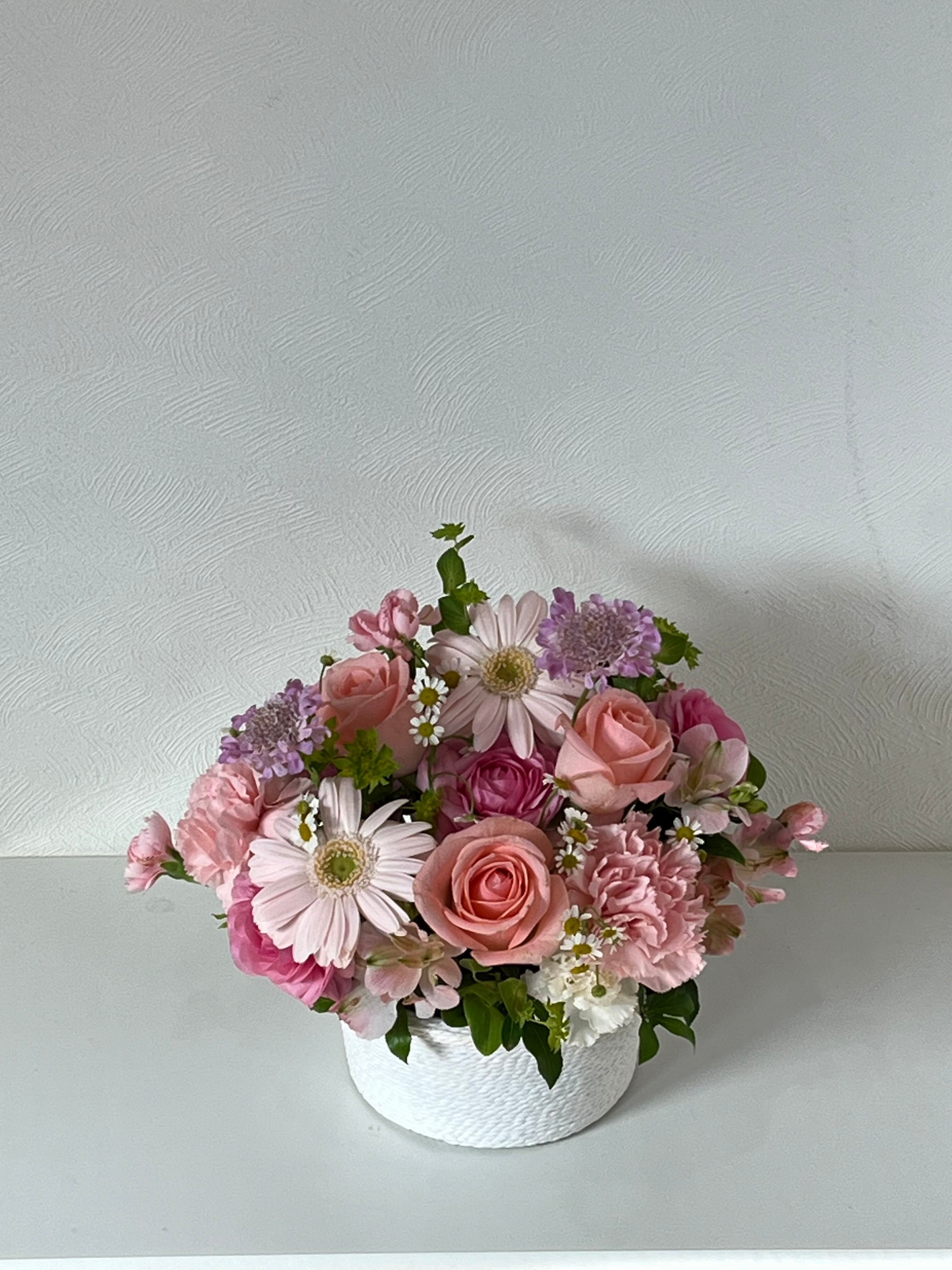 菓子胡桃（カシクルミ）盆栽 SG001 | Pay ID