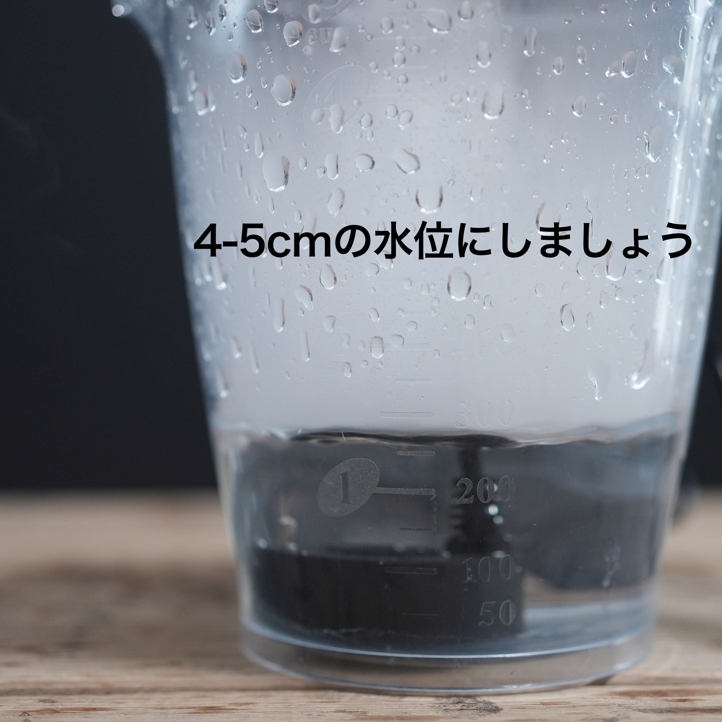 超音波ミスト発生器USB給電type【霧の表現に／アクアテラリウム】 | 苔