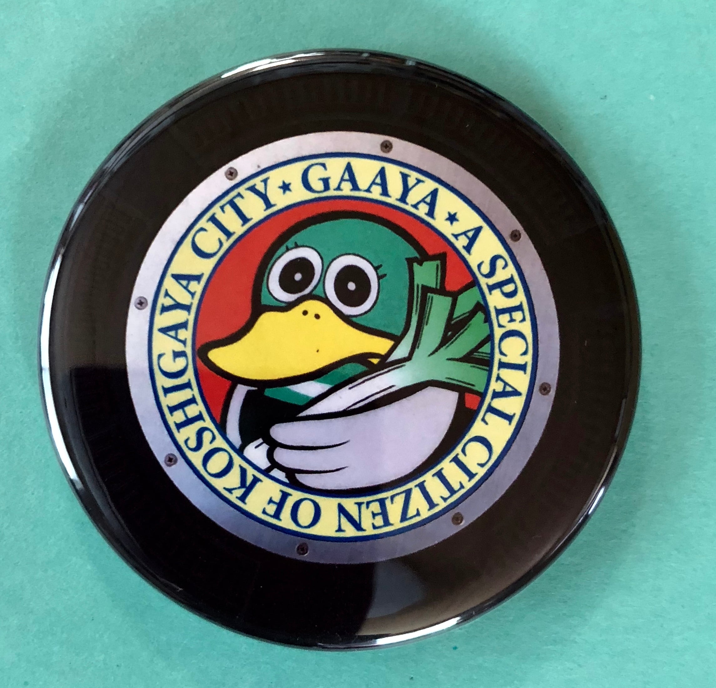 30a9caad59b7a94c4f7a1f658f84ff