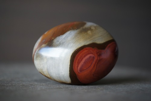 ポリクロームジャスパー　Polychrome Jasper 1745