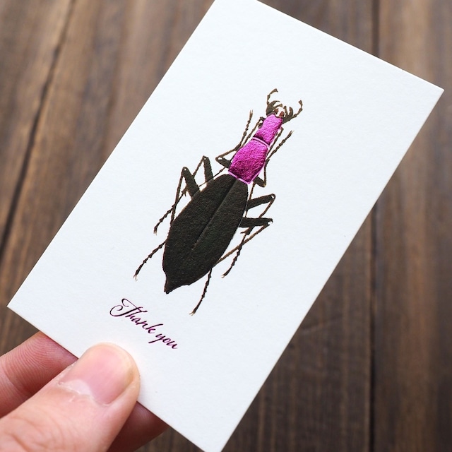 Thank you カード 5枚入り（コアオマイマイカブリ）箔押し