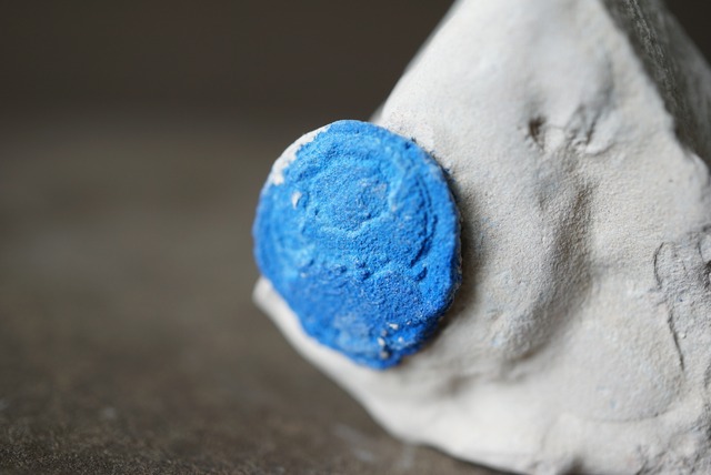 アズライト・サン Azurite Sun 1264