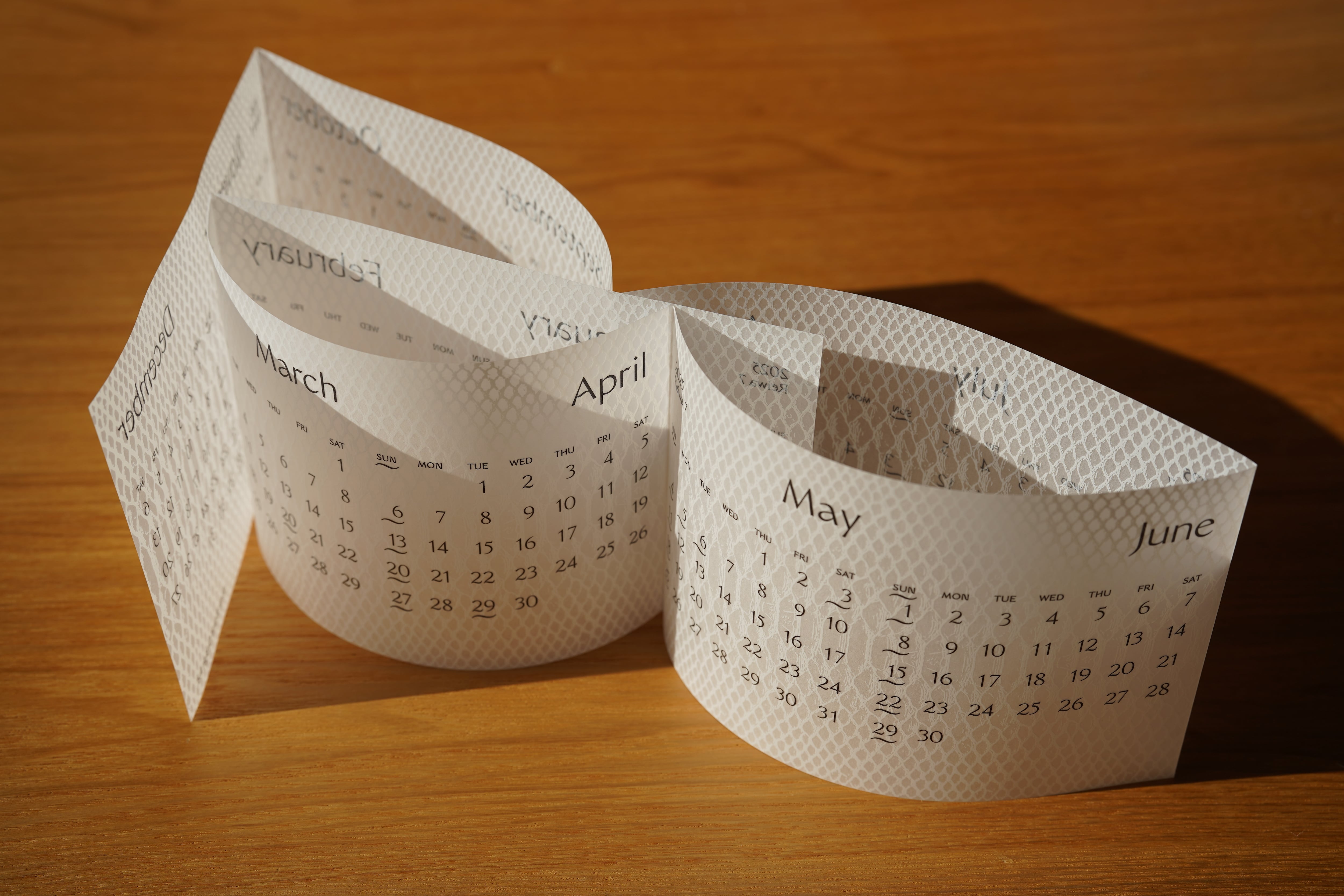 開運！ 蛇の抜け殻カレンダー2025 | -ness brand store