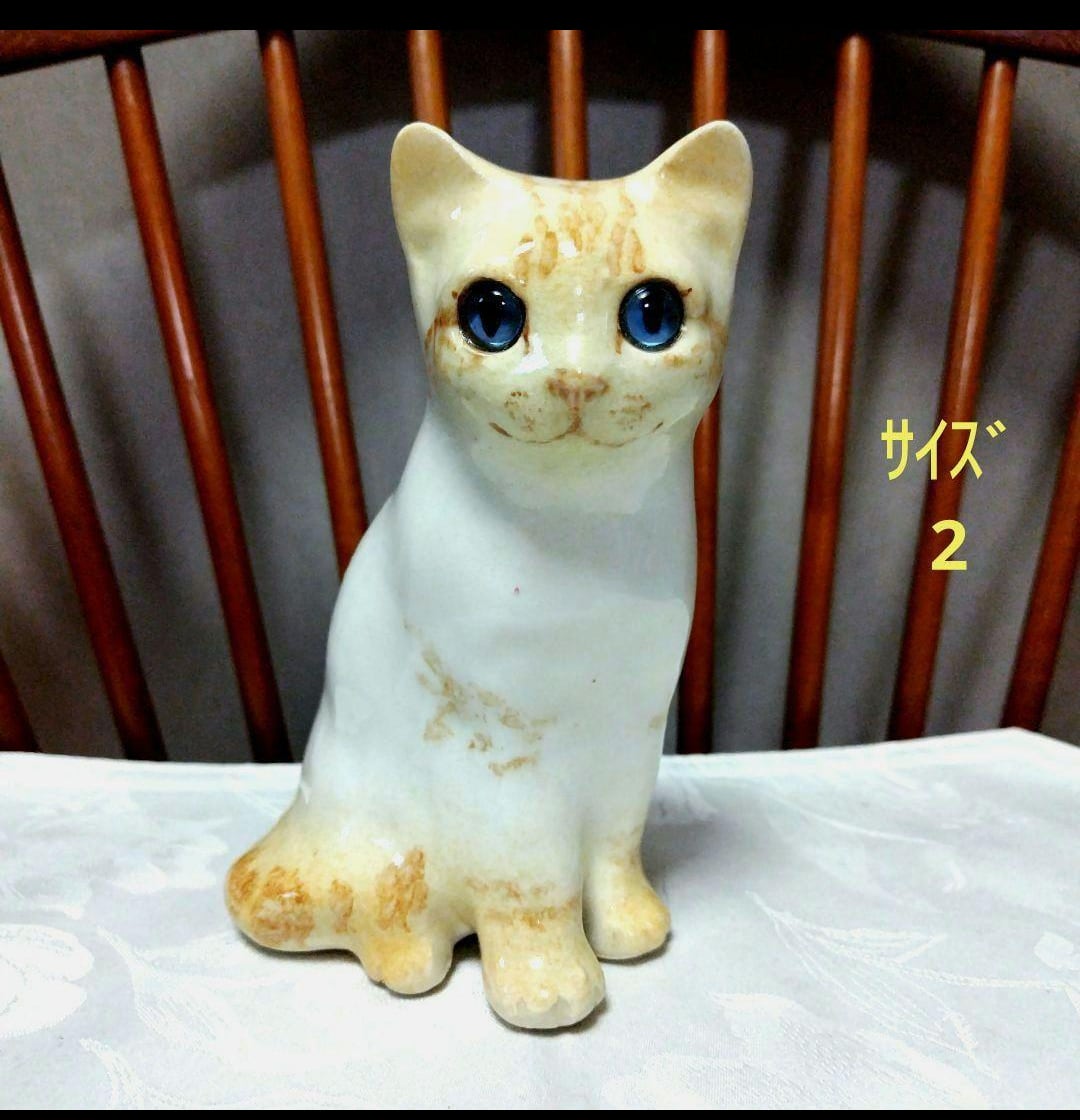 SOLD OUT】超美人！ホワイトジンジャー猫、ウィンスタンレイ