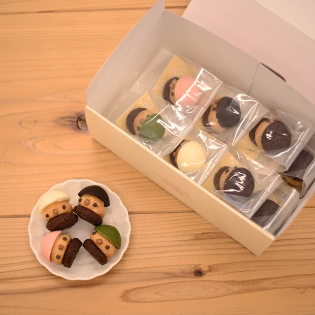 どんぐりチョコくっきー　8個セット