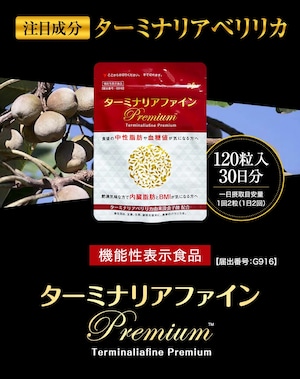 ターミナリアファイン premium 2袋セット 機能性表示食品 機能性関与成分、注目のスーパーフルーツ「ターミナリアベリリカ」 健康食品 脂肪 糖 血糖 血糖値 中性脂肪 ターミナリアベリリカ