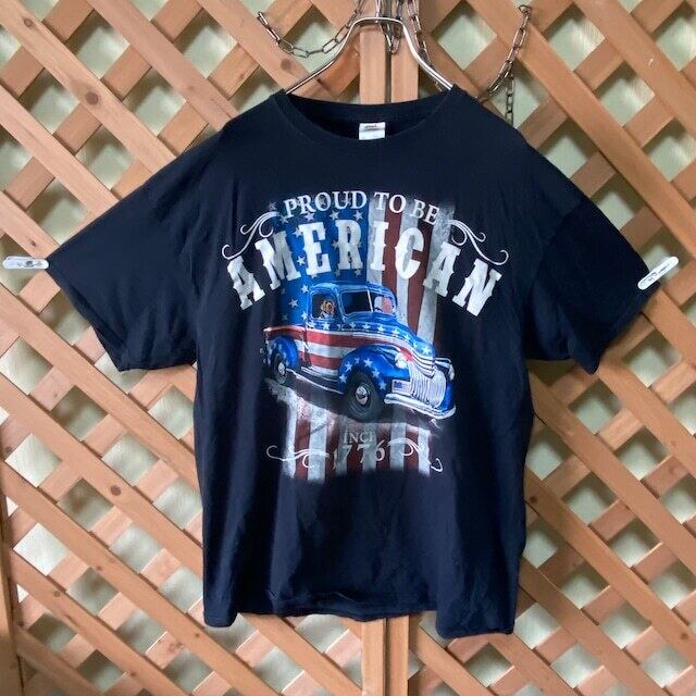 【美品】フルーツオブザルーム　希少デザイン　Tシャツ　半袖シャツ　スカル