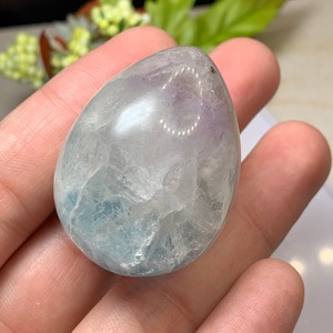 T39.エンジェルフェザーフローライト たまご