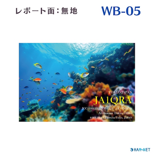 QSLカード　デザイナーズカード　WB05　レポート面無地　100枚～