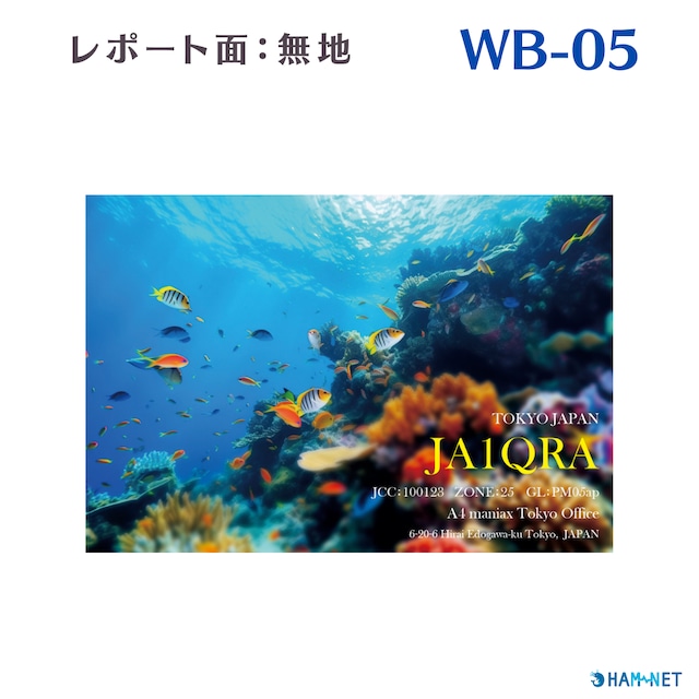 QSLカード　デザイナーズカード　WB05　レポート面無地　100枚～