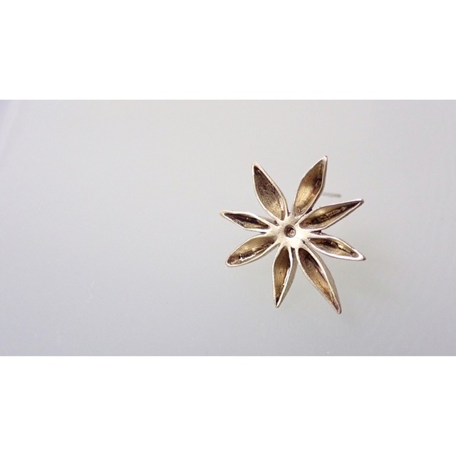 【片耳販売】Star Anise ピアス