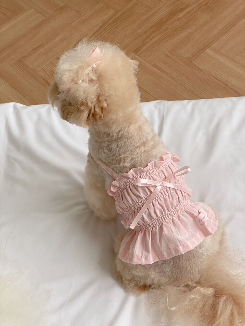 予約【cheese n mood】Mimi Dress (Pink)