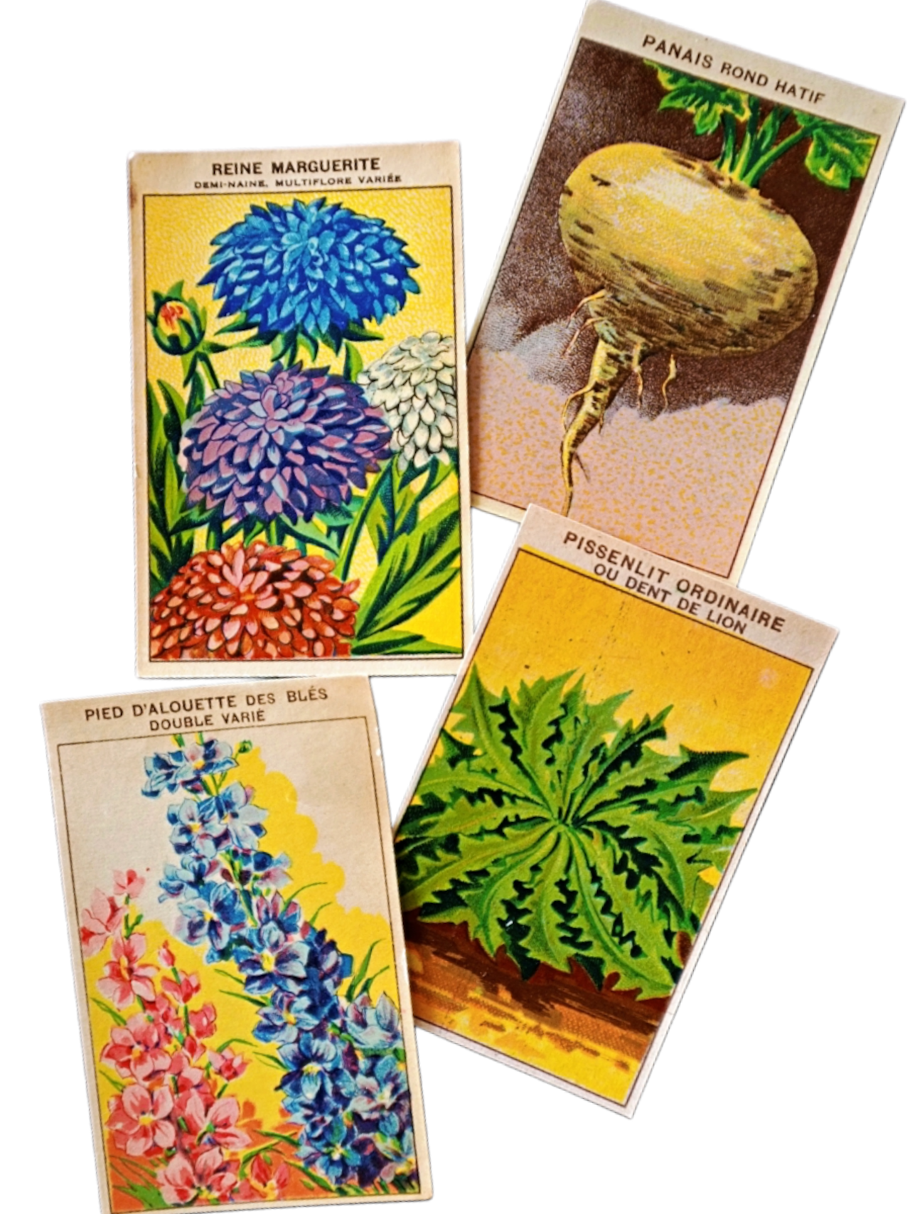 20s フランス 4set 膨満な花々と野菜たち 種子袋用ラベルz アンティーク