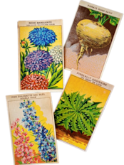 20s フランス 4set 膨満な花々と野菜たち 種子袋用ラベルz アンティーク