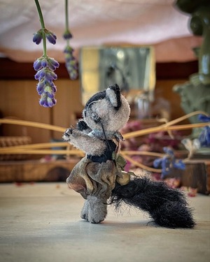 miniature kitten/chim chim cher-ee