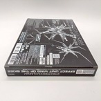 RG 1/144 ストライクフリーダムガンダム用 拡張エフェクトユニット“天空の翼"