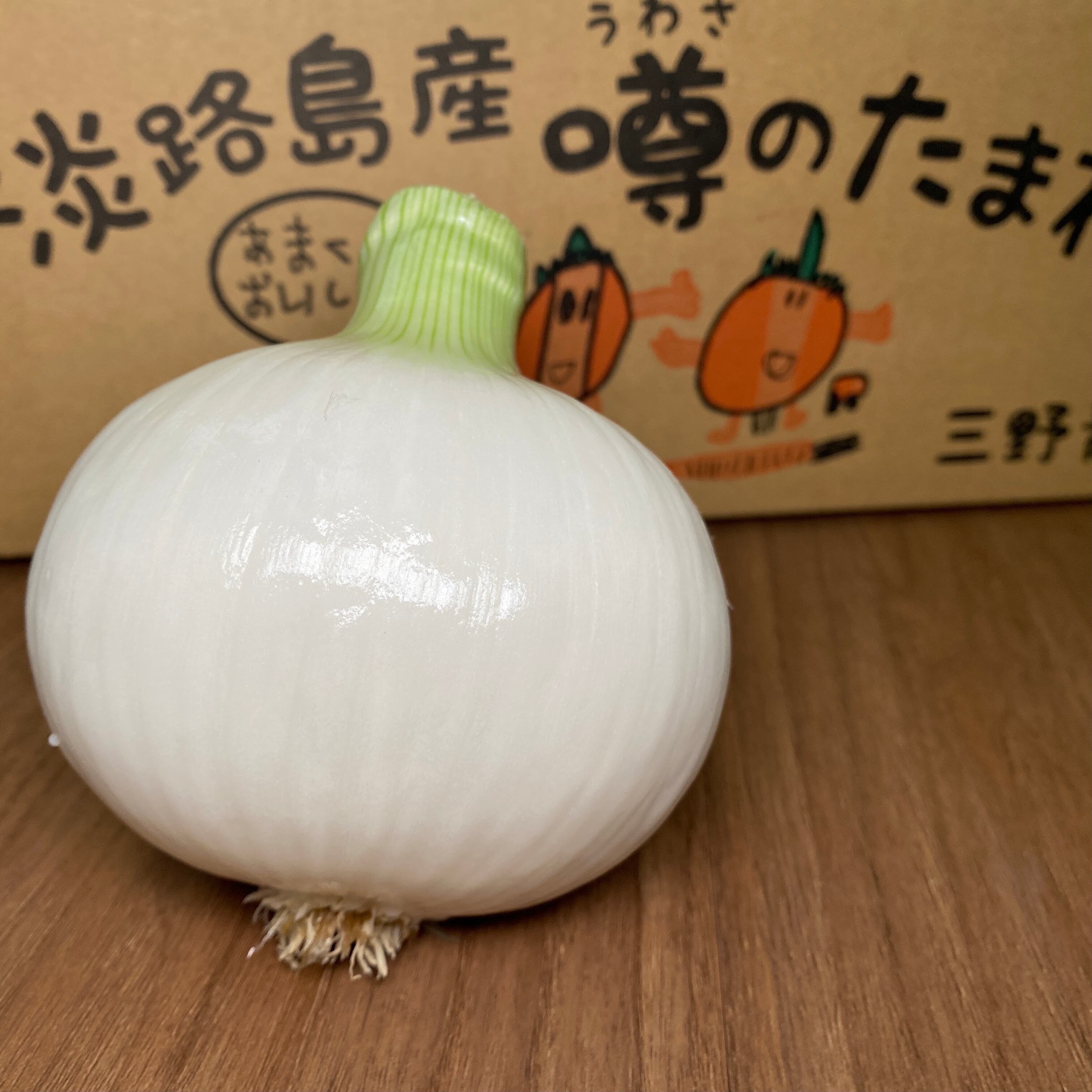 兵庫県南あわじ市産 プレミアムミルク玉ねぎ 新玉ねぎ 2月中旬 5月下旬 5kg 大畑大介商店