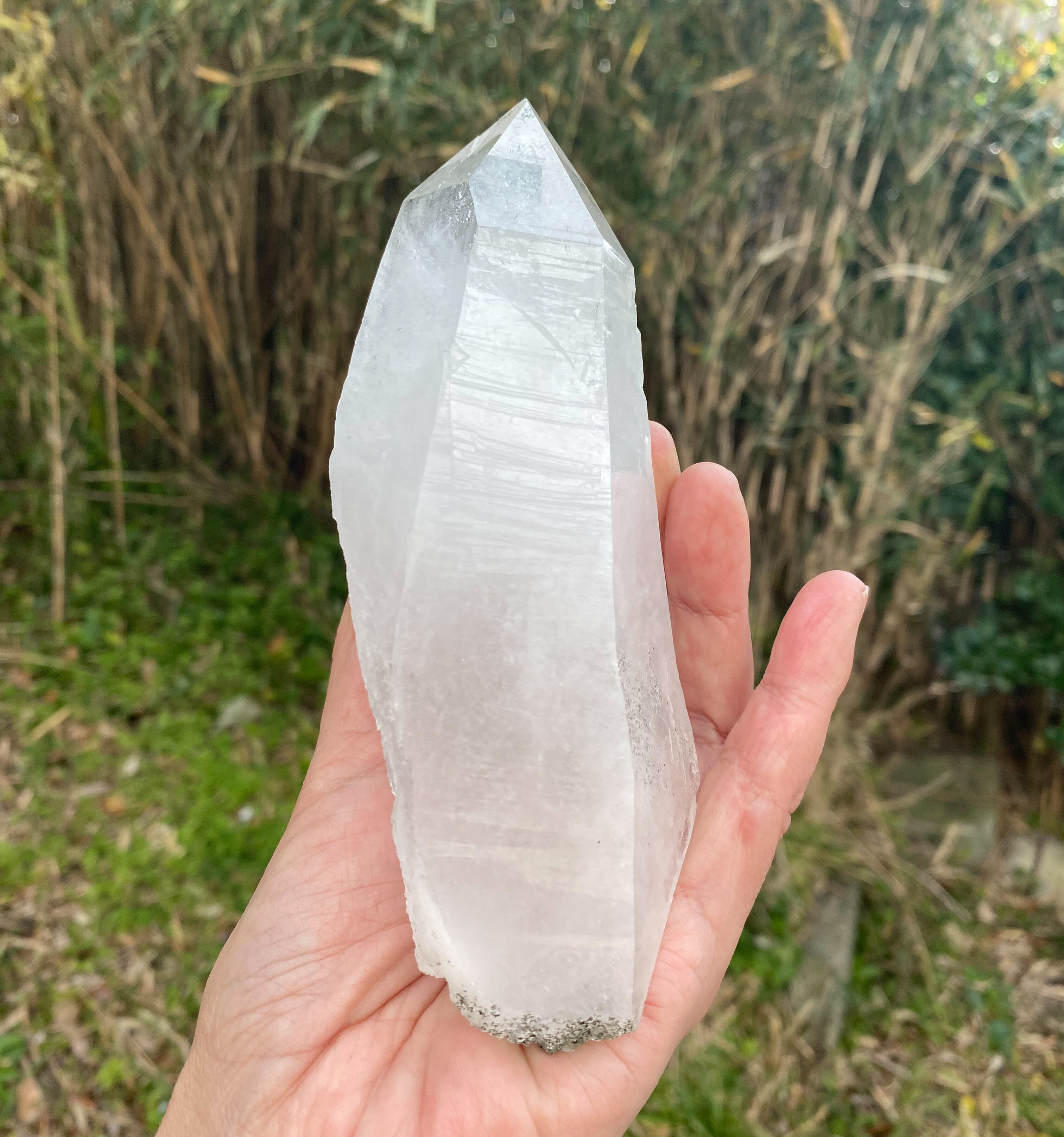 大きなセルフヒールド | Tigress Yogi