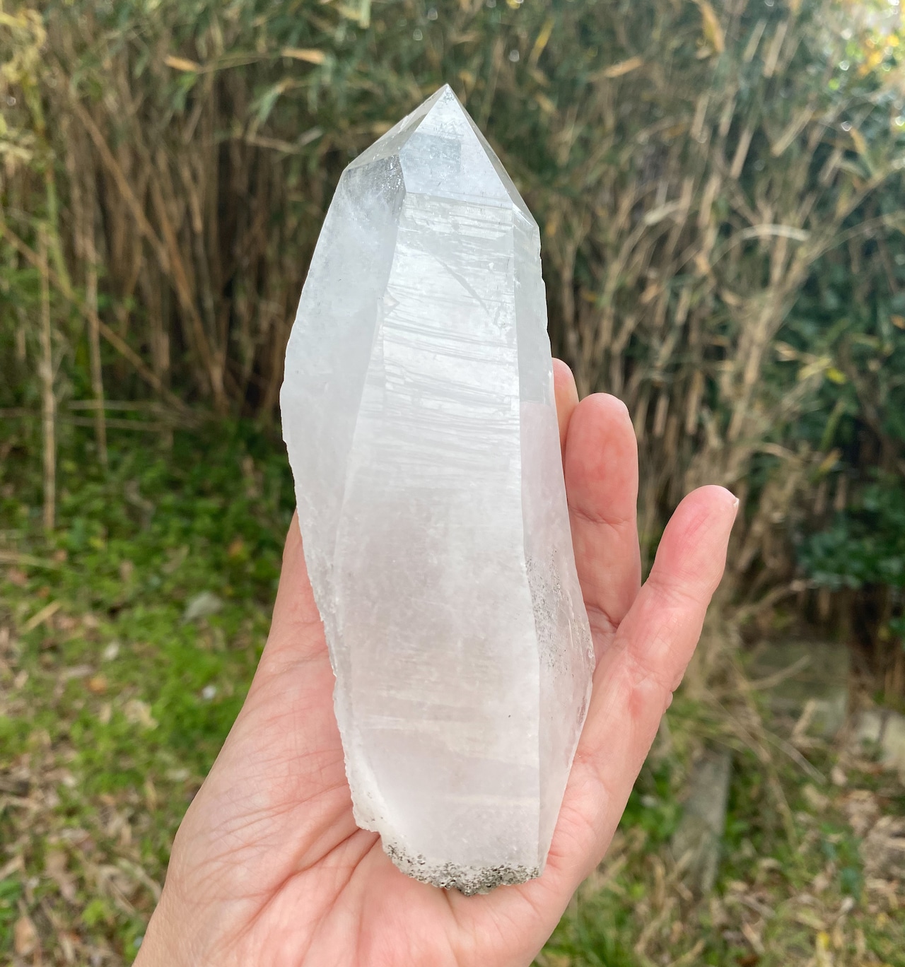 大きなセルフヒールド