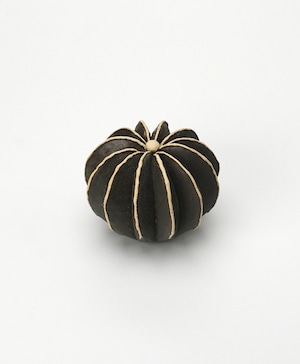 陶植/ペクチニフェラ BL/W