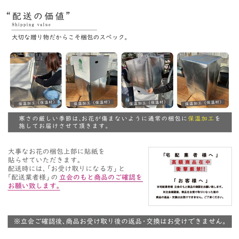 個人への贈物！中輪の胡蝶蘭 3本立ち 21輪～ ヴィーナス | 純国産 胡蝶