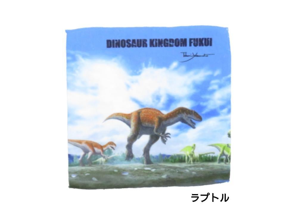 恐竜ハンドタオル | 福井勝山お土産オンラインショップ