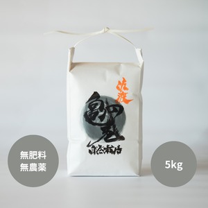 自然栽培米【亀の尾】5kg 玄米