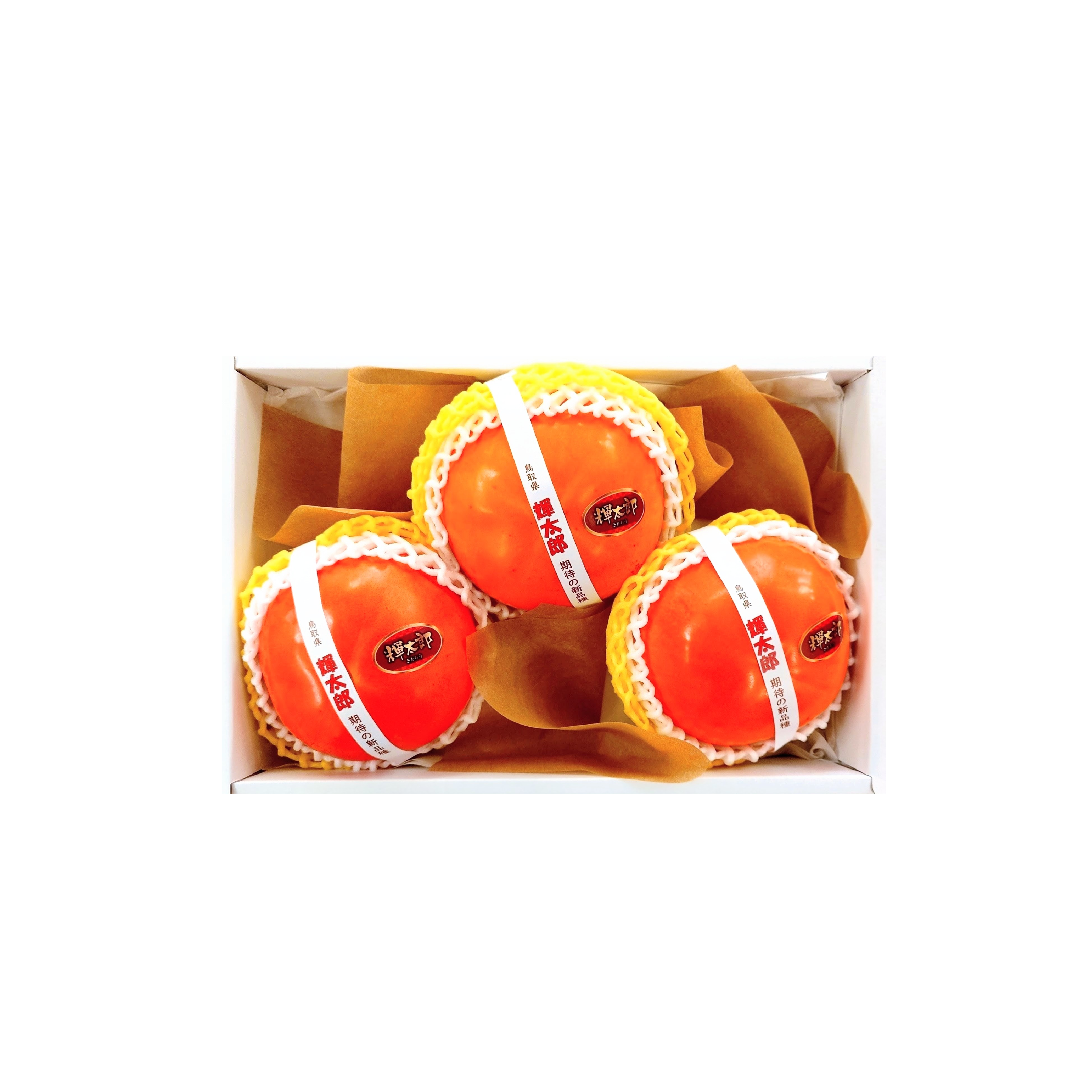 【鳥取県産”輝太郎(きたろう)”】フルーツギフトBOX(特大3個入) 1箱 ※包装・御熨斗無料