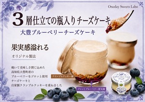 大豊ブルーベリーチーズケーキ【とさレモンが爽やかに香る】贅沢チーズケーキ6個セット