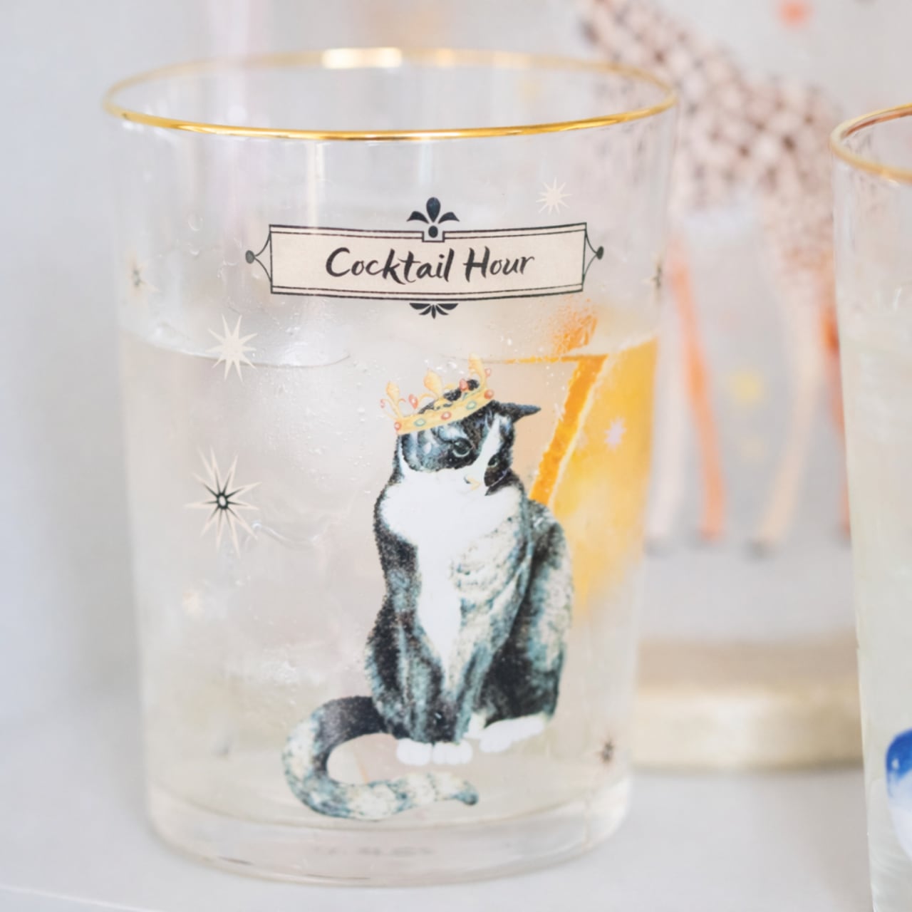 【YVONNE ELLEN】 ウォーターグラス｜ ネコ