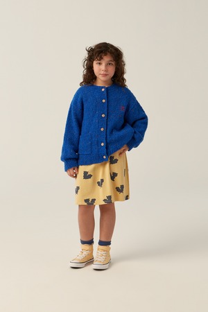 the campamento/Blue Cardigan