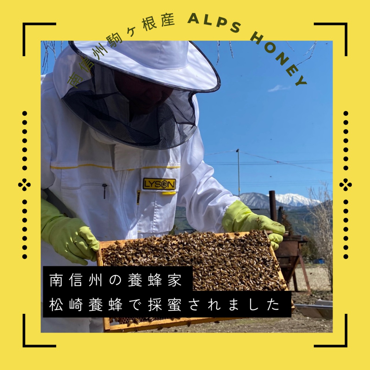 国産蜂蜜 百花蜜 天然はちみつ】300gパウチ×1 長野県産(南信州 国産蜂蜜 百花蜜 天然はちみつ】300gパウチ×1 長野県産(南信州