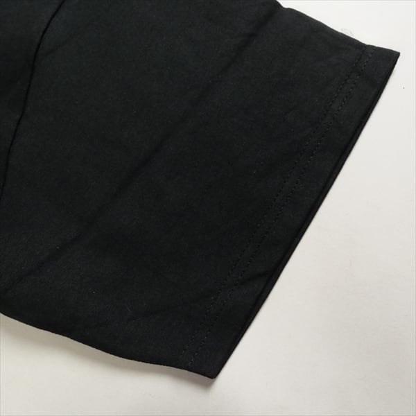 Size【L】 STUSSY ステューシー 千葉パルコ限定 フォトTシャツ 黒