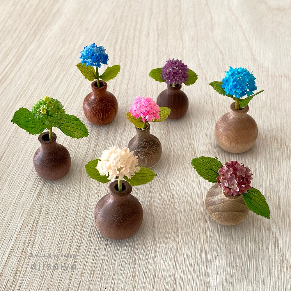 ミニチュア紫陽花 マジカルレボリューション（西洋紫陽花） 1輪挿し 木