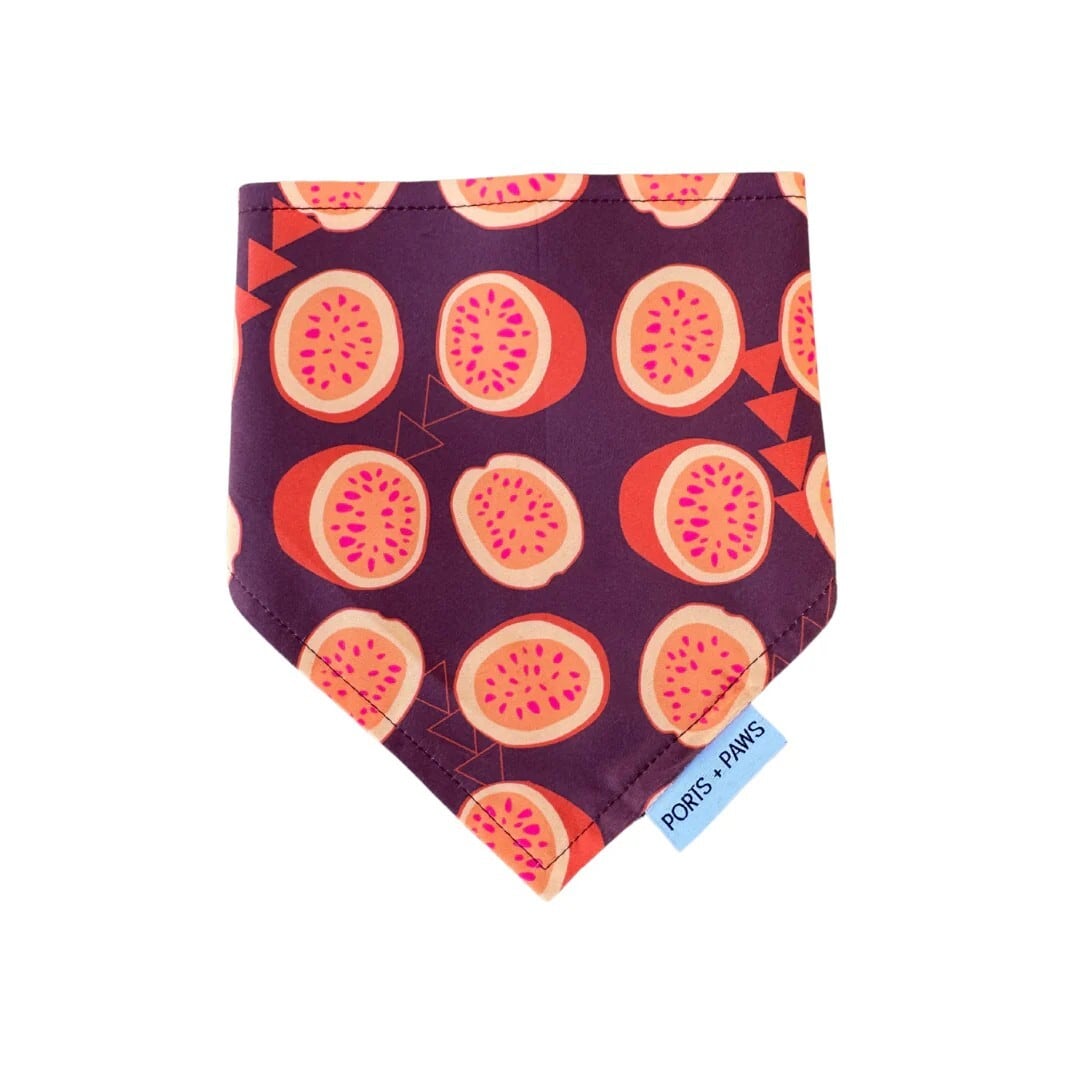 【PORTS+PAWS】Quick Dry Bandana LILIKOI