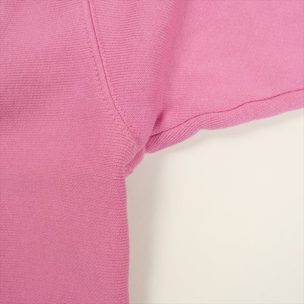 トップス STUSSY 26SS SKULLS GAR DYED ZIP HOOD Skulls Zip Hoodie Pigment Dyed - Mens Long Sleeve Sweatshirt