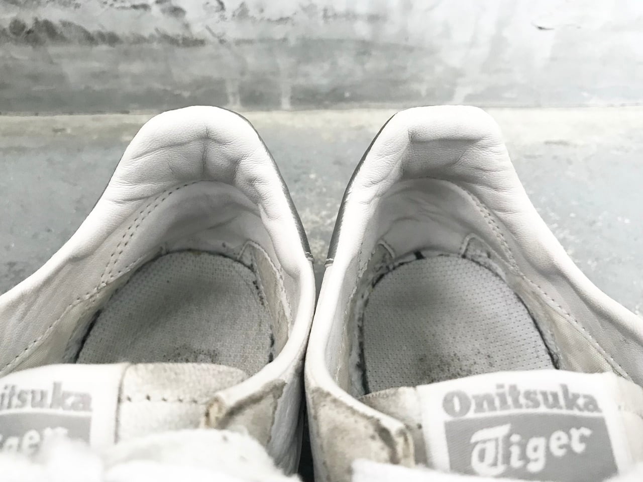 Onitsuka Tiger RUNSPARK WHITE/SILVER | Pay ID