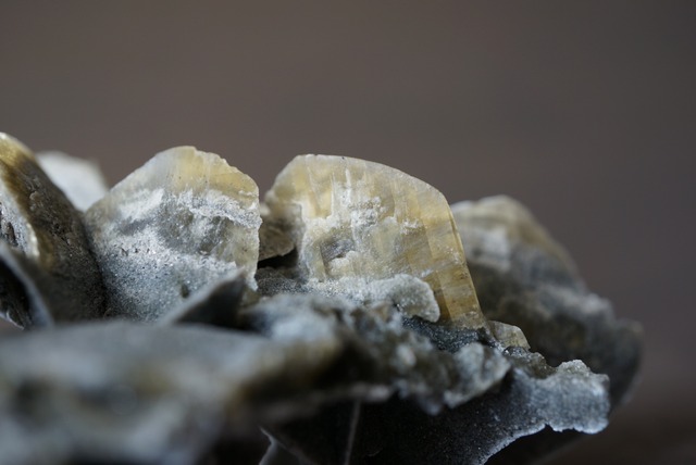 デザートローズ Desert Rose 1049