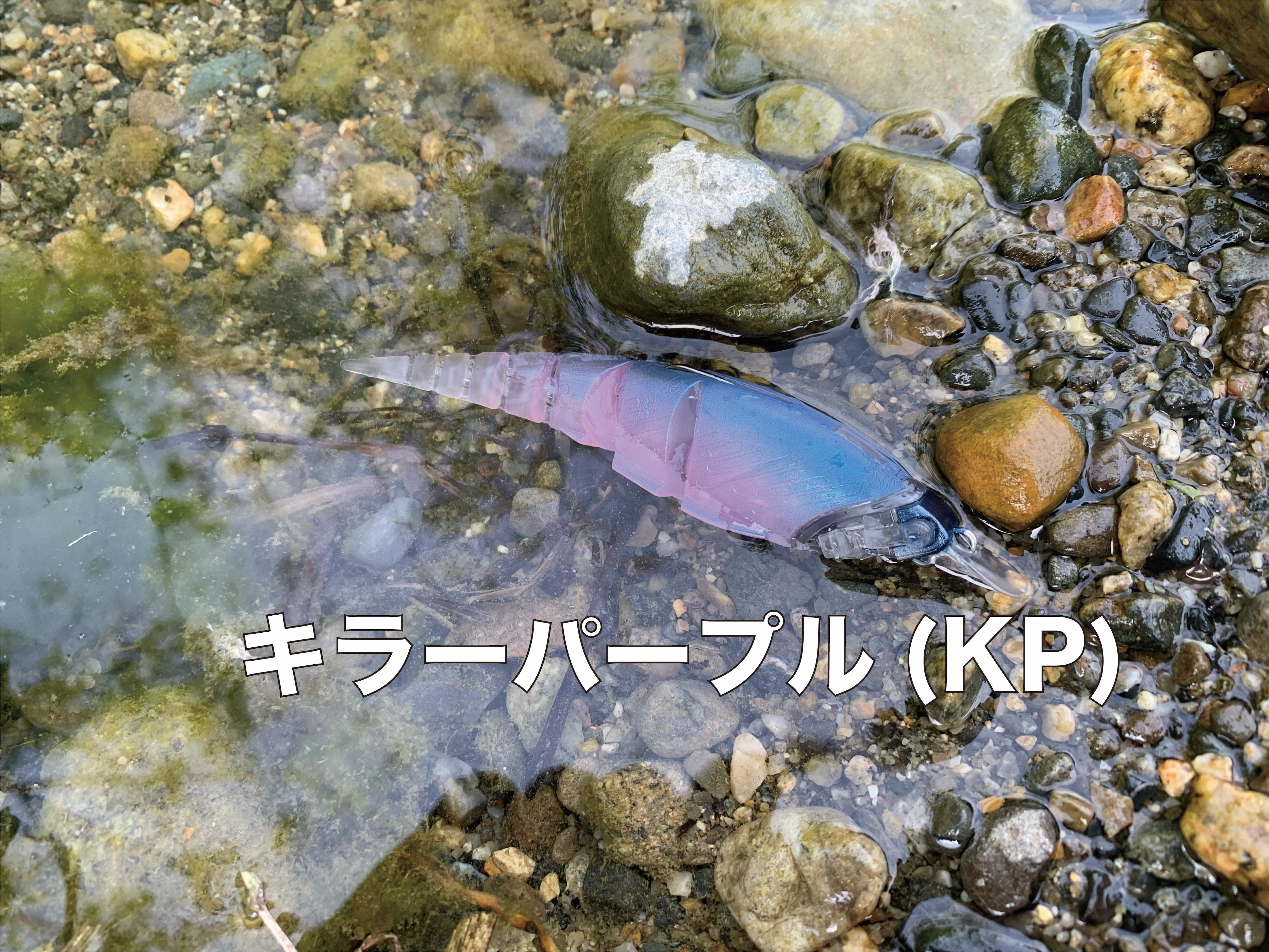 β-MINNOW | TTT