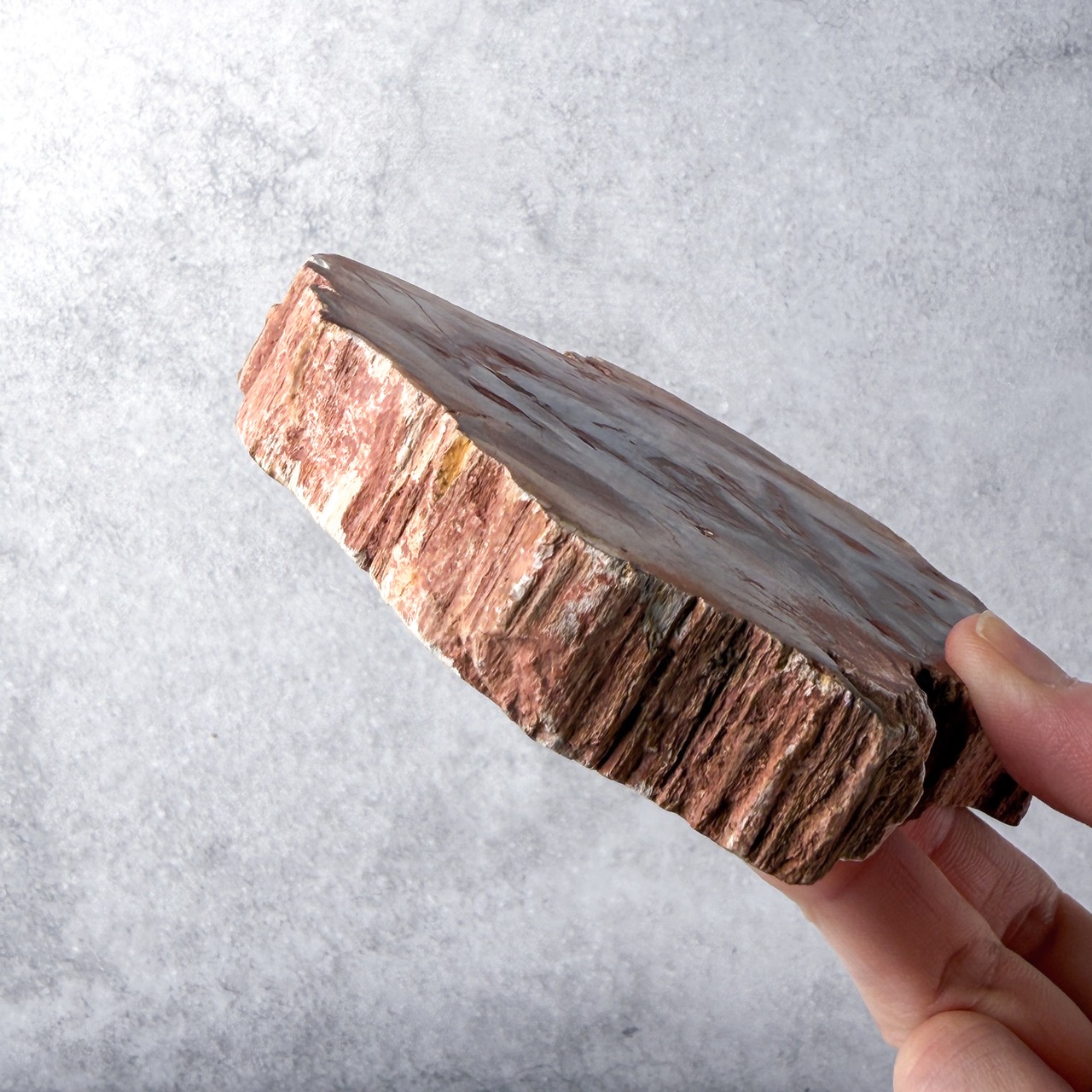 ペトリ スラブ ＊ Petrified Wood ＊ 天然石