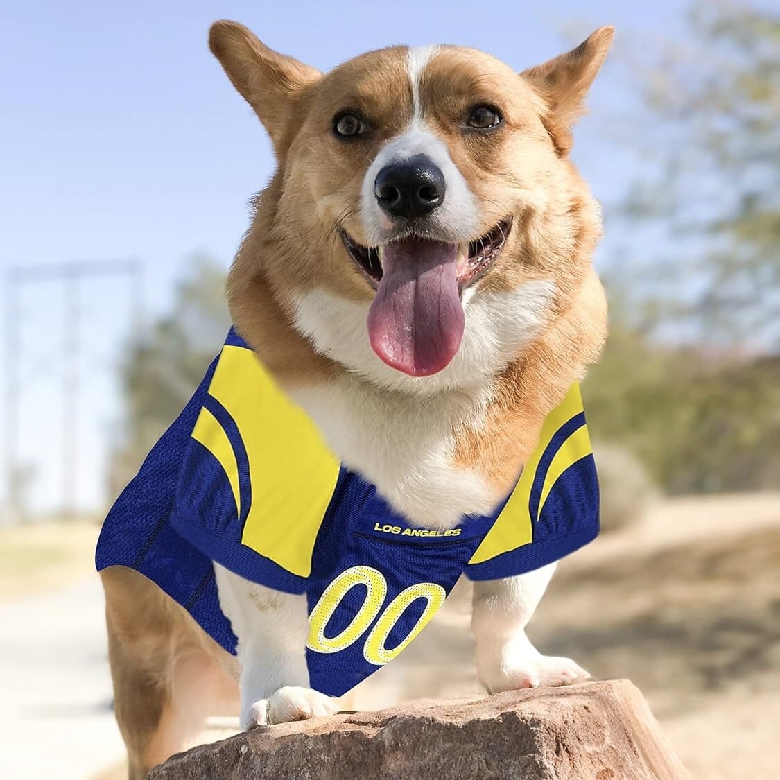 NFL Dog Wear | HundspaSS