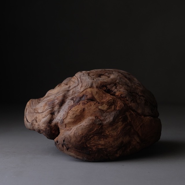 Tree burl