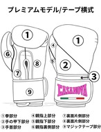 《カラーオーダー》プレミアムモデル