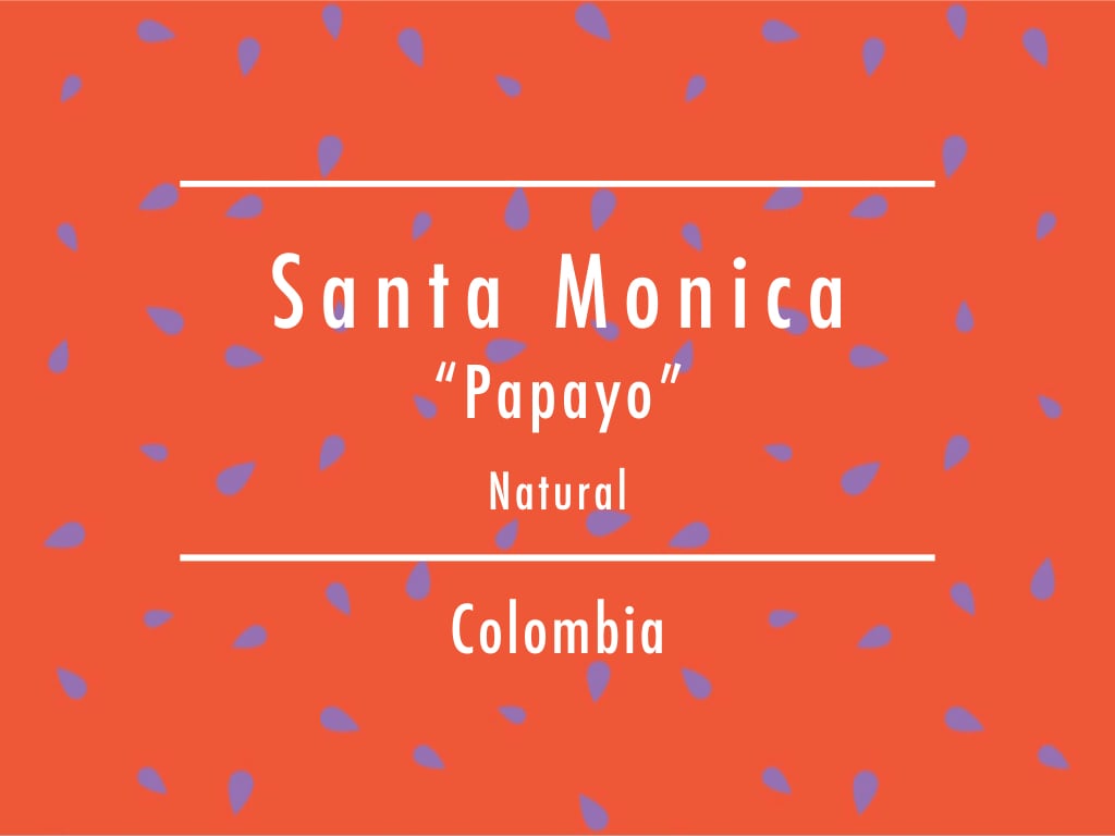 【お得!500g】コロンビア / Sanata Monica "Papayo" Natural
