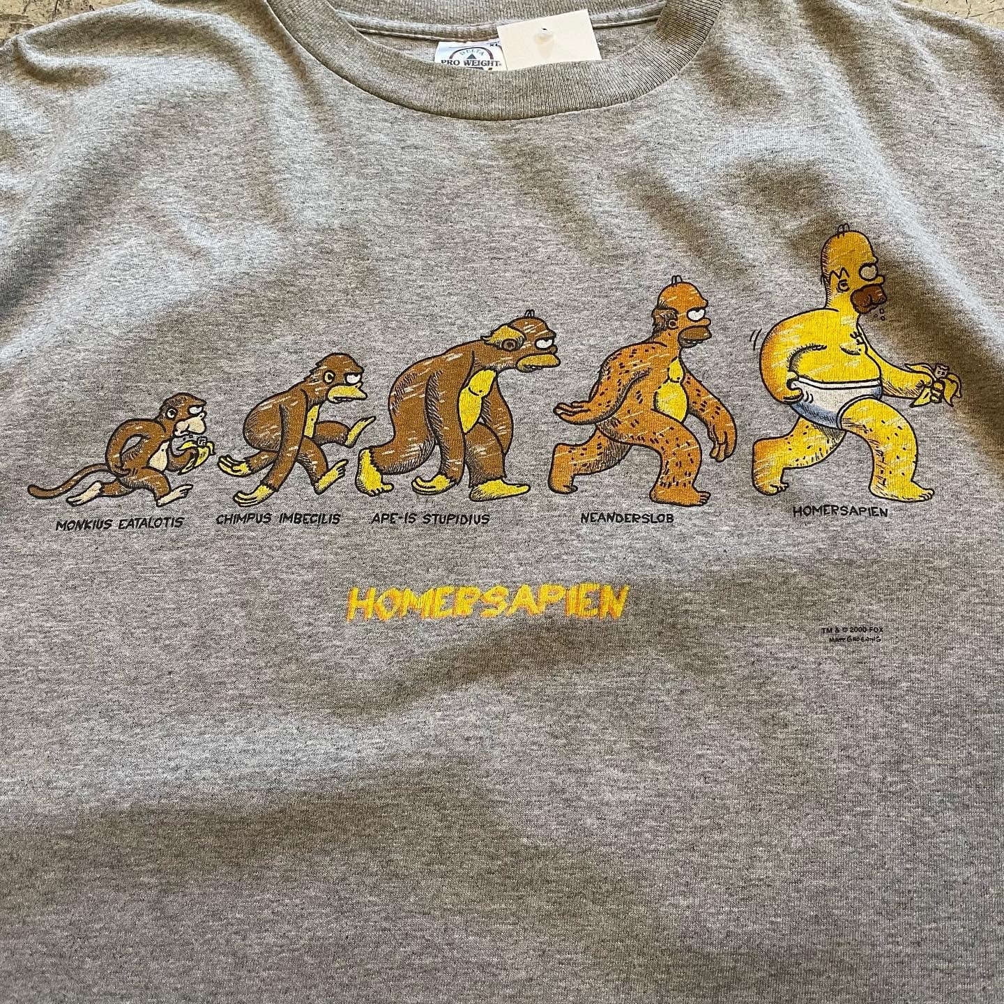 00's HOMERSAPIEN Tシャツ XL ビンテージ シンプソンズ