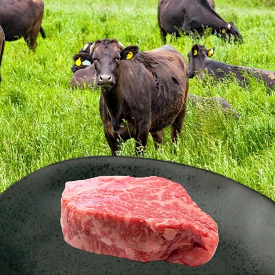 宗谷黒牛 ヒレステーキ 150g