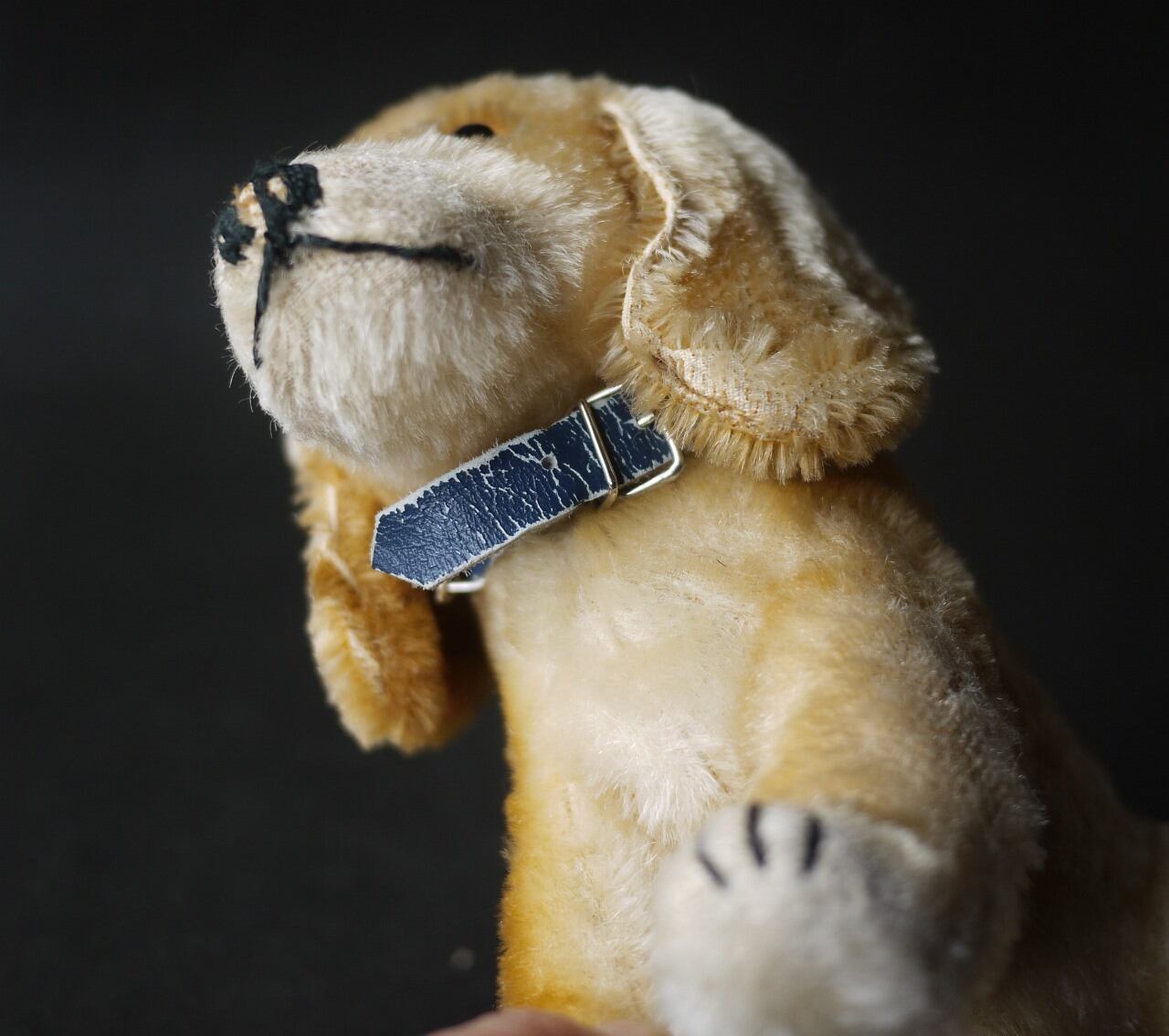 シュタイフ Bazi ダックスフント ドイツ STEIFF | こりすのパン屋Base