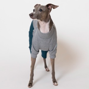 ５スリーブロンパース（5分丈） gray × green  / イタグレ服