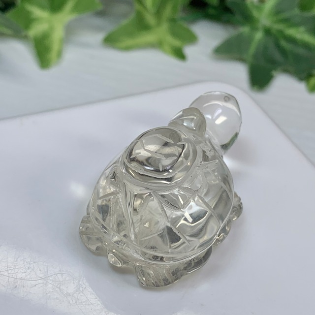 11.透明度高☆親子亀水晶☆